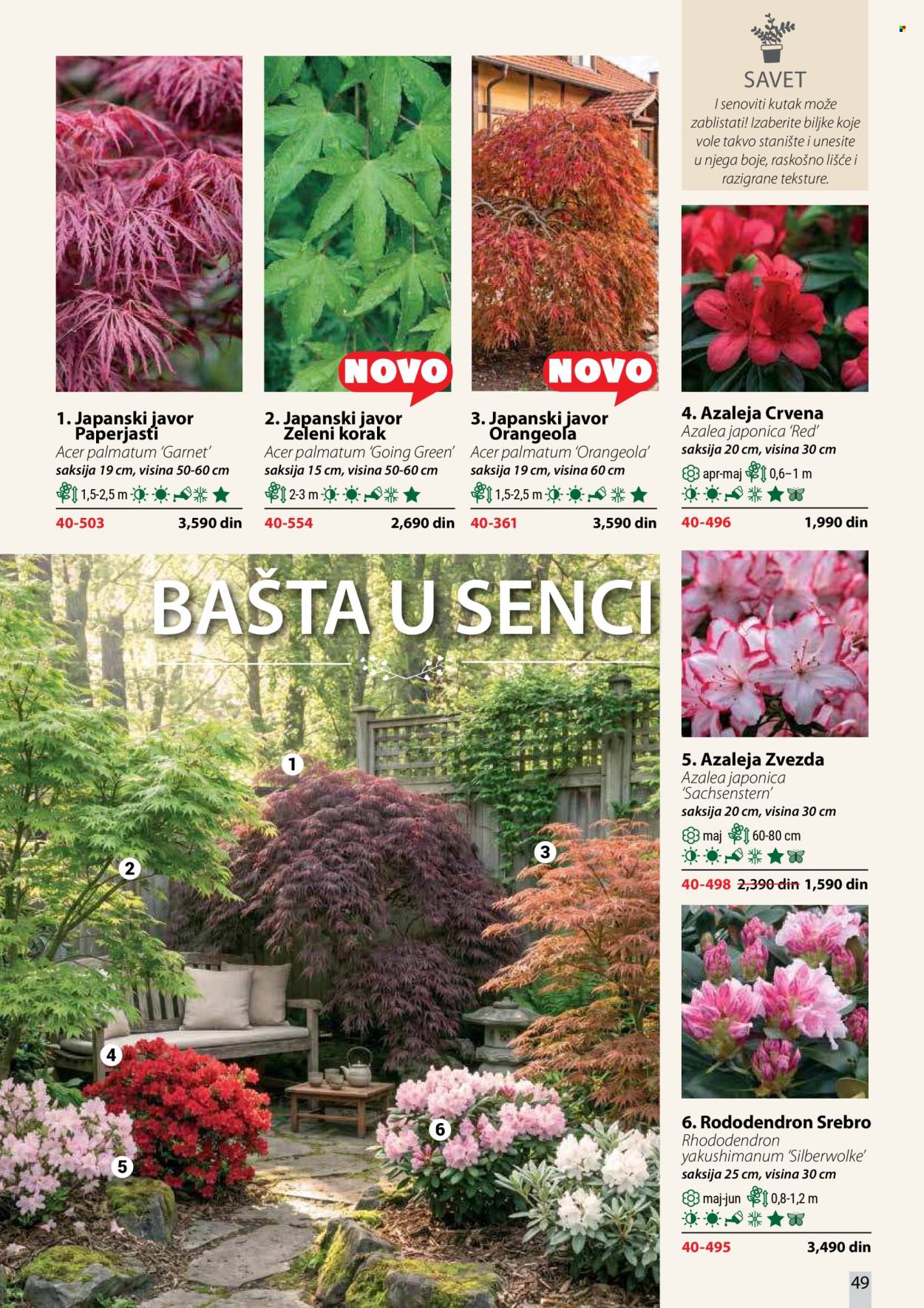 Flora Ekspres katalog . Stranica 49