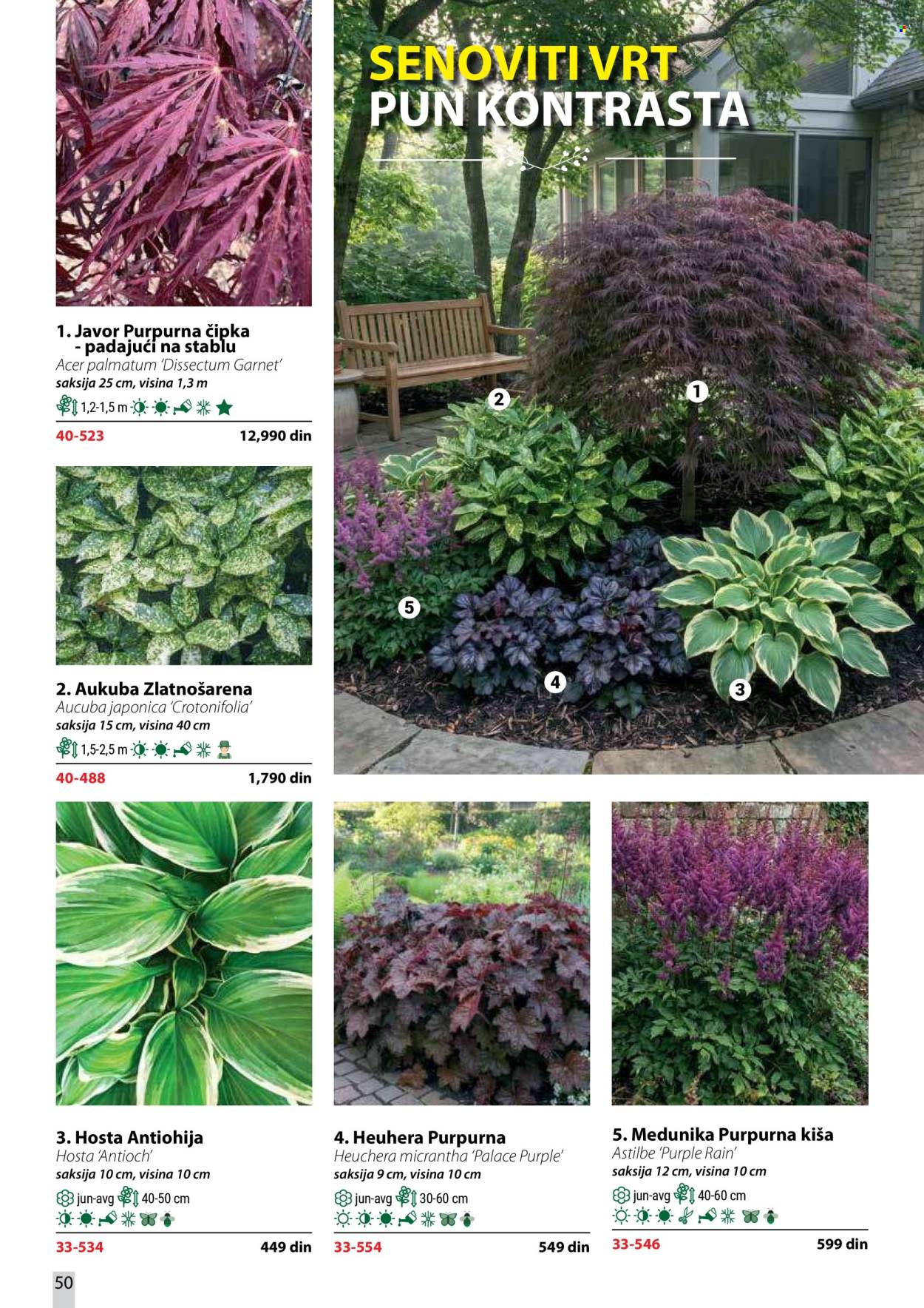 Flora Ekspres katalog . Stranica 50