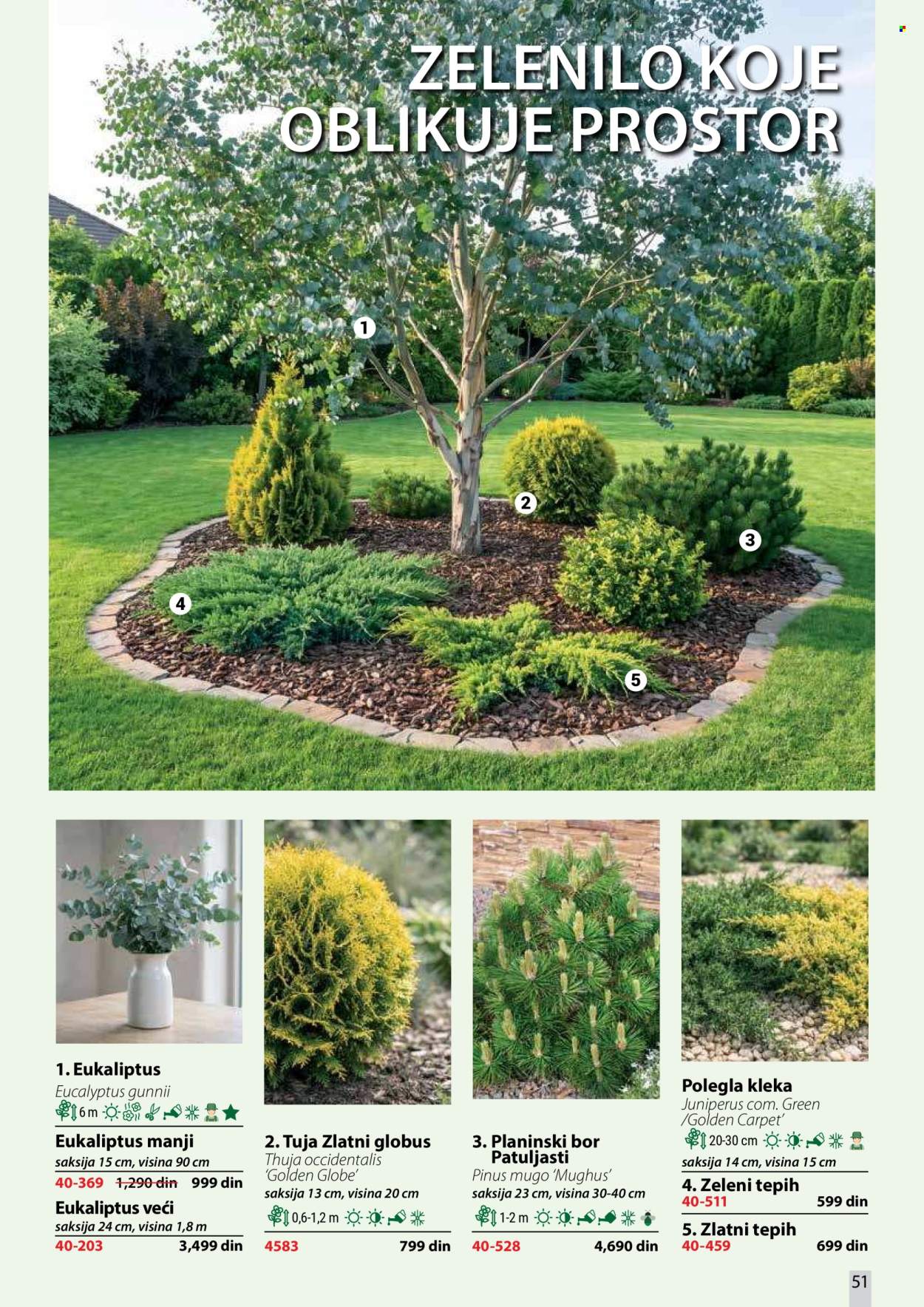 Flora Ekspres katalog . Stranica 51