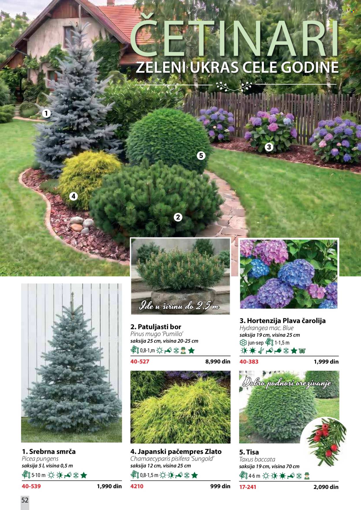 Flora Ekspres katalog . Stranica 52