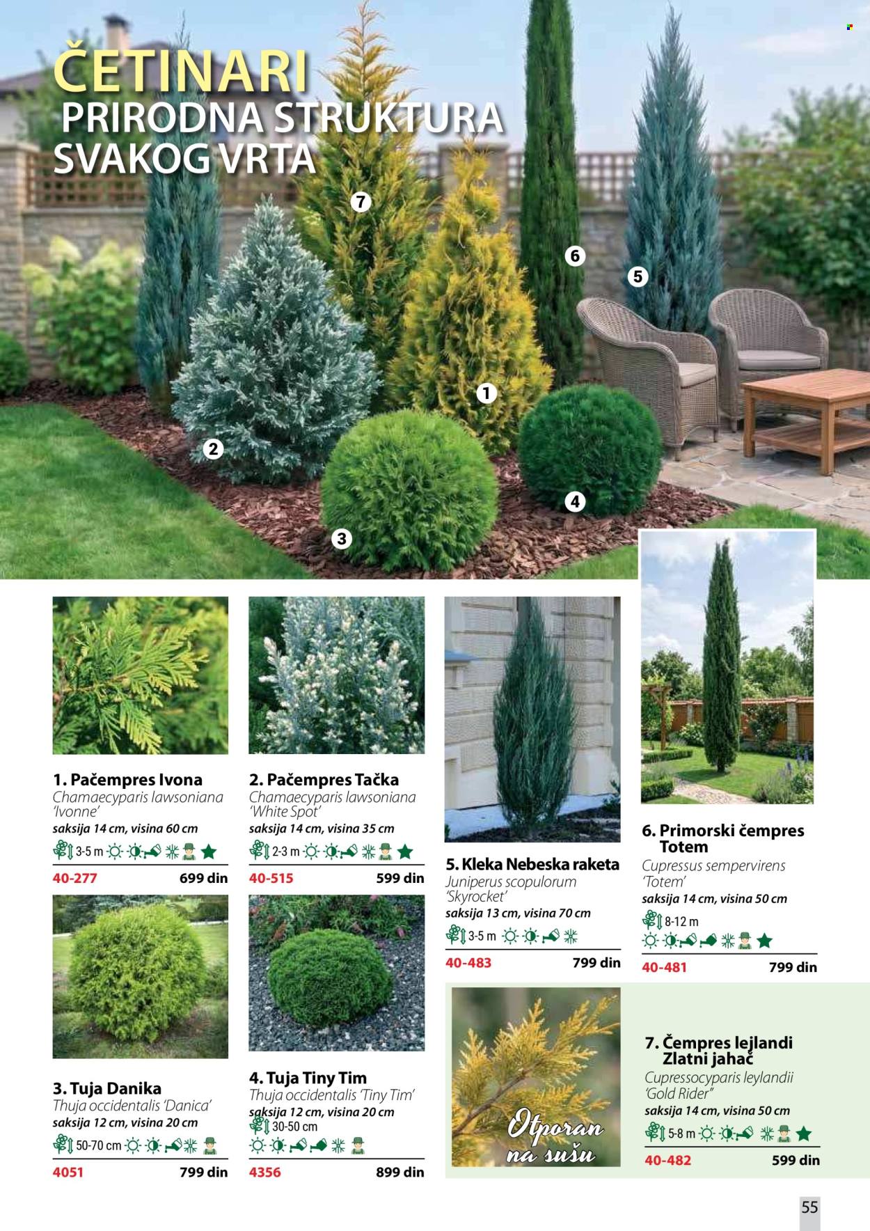 Flora Ekspres katalog . Stranica 55