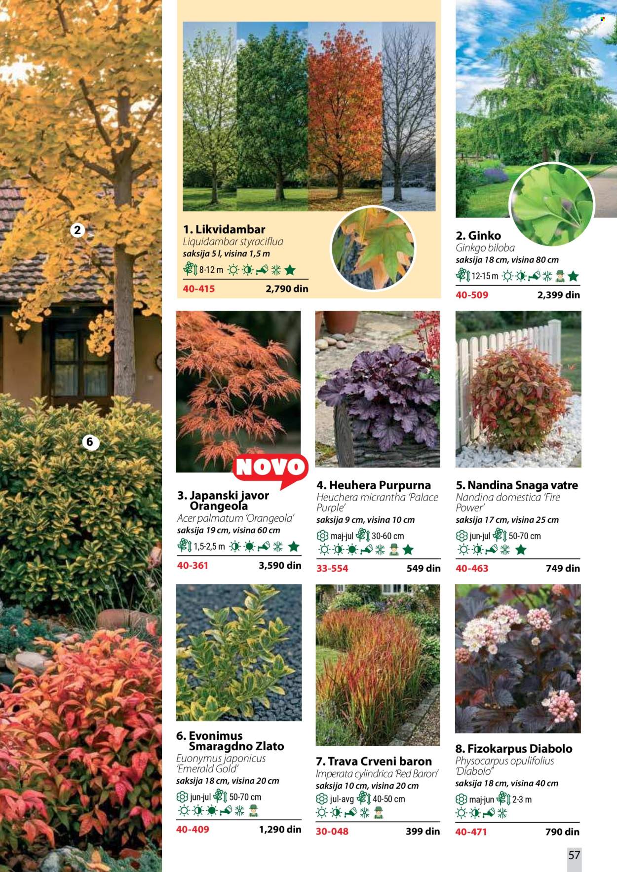 Flora Ekspres katalog . Stranica 57