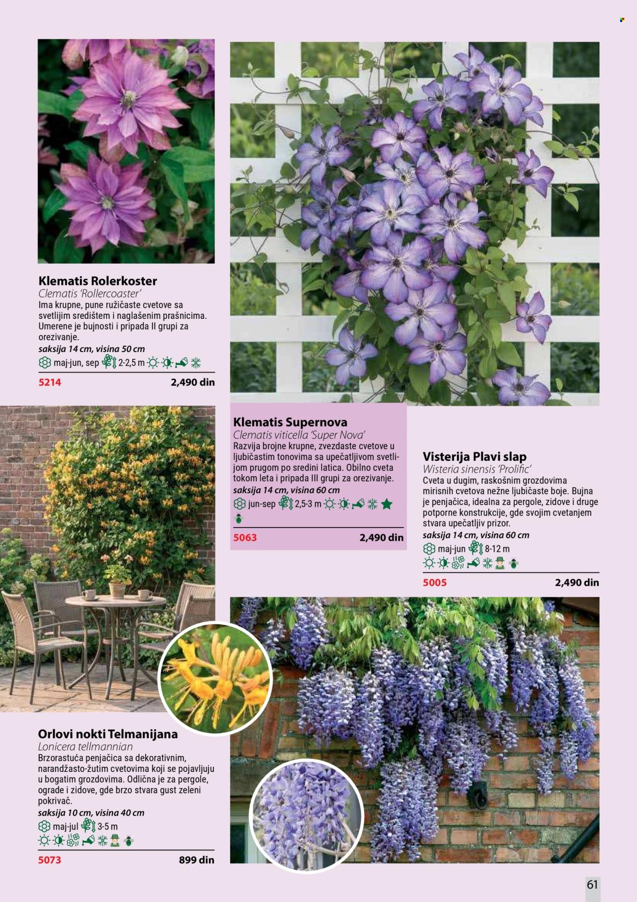 Flora Ekspres katalog . Stranica 61