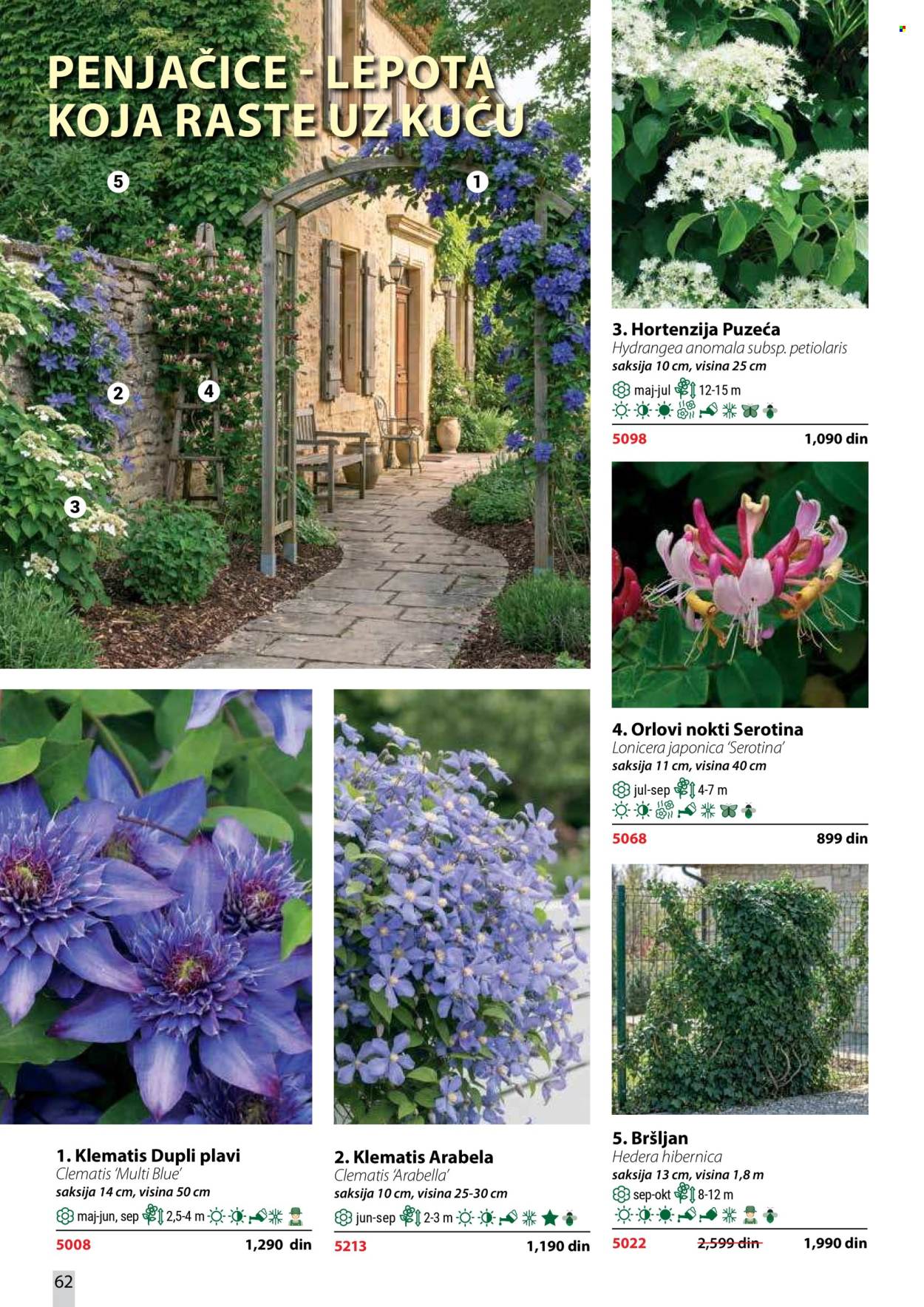 Flora Ekspres katalog . Stranica 62