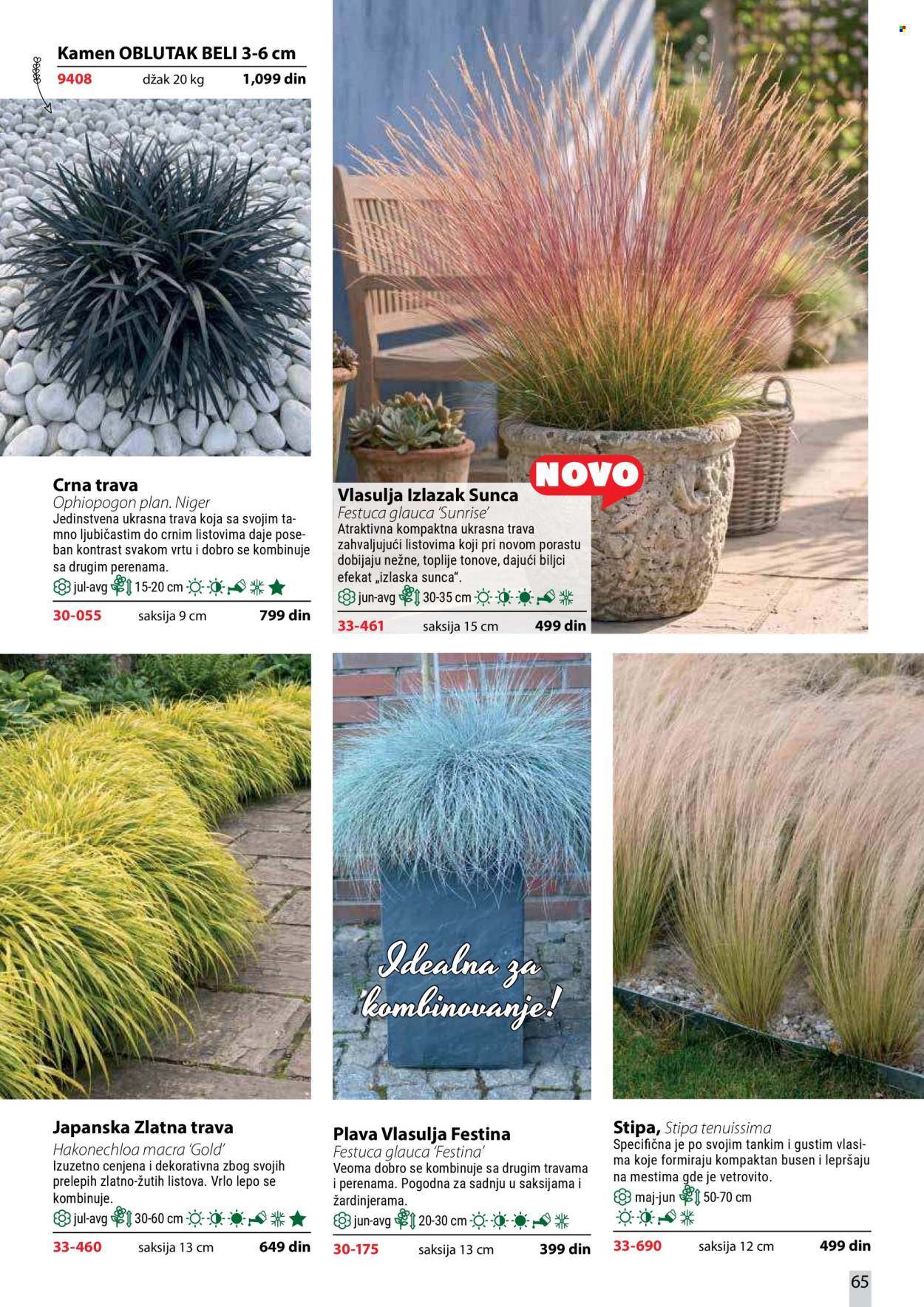 Flora Ekspres katalog . Stranica 65