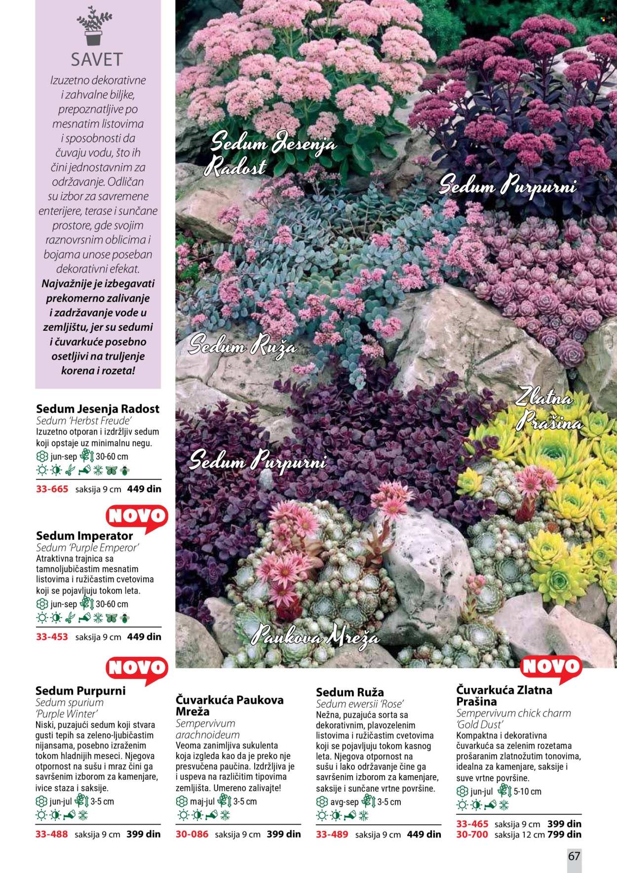 Flora Ekspres katalog . Stranica 67