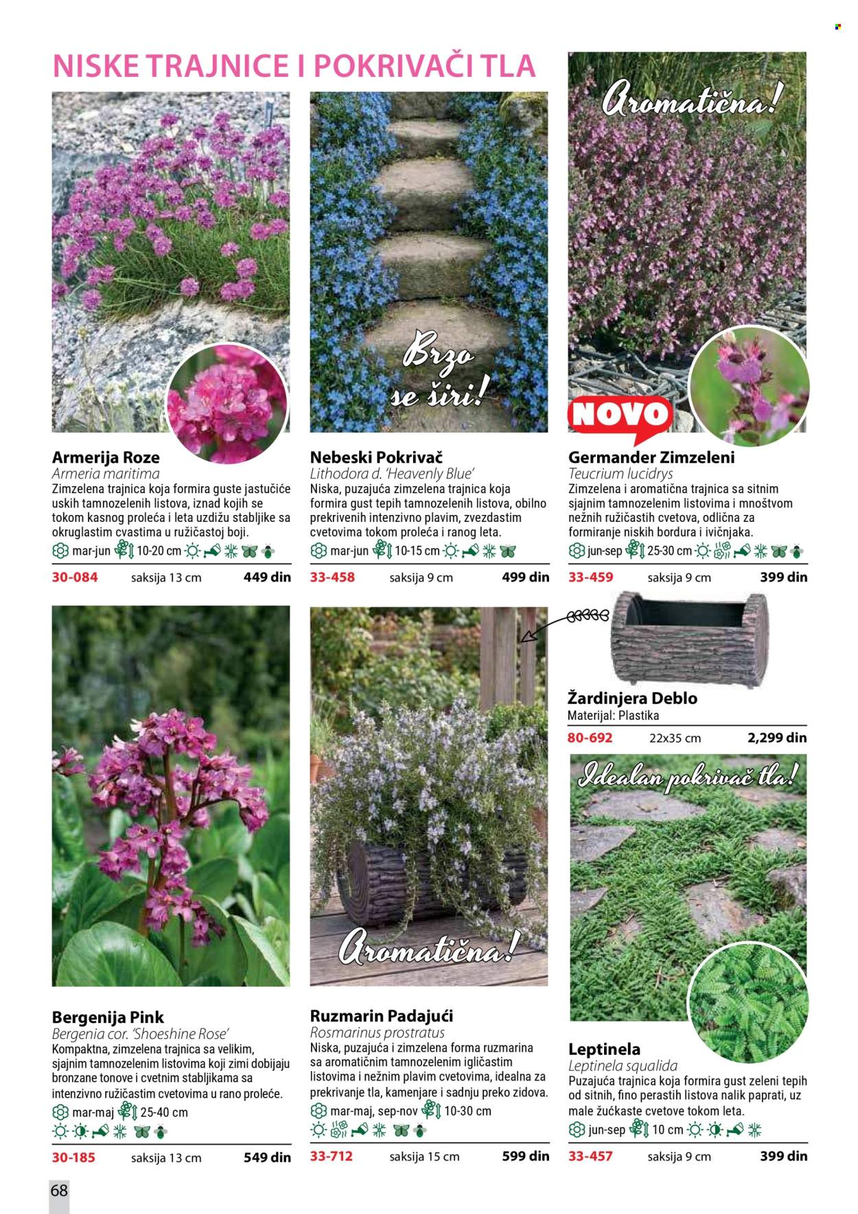 Flora Ekspres katalog . Stranica 68