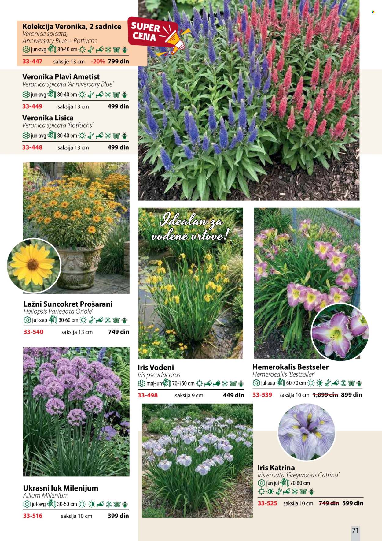 Flora Ekspres katalog . Stranica 71