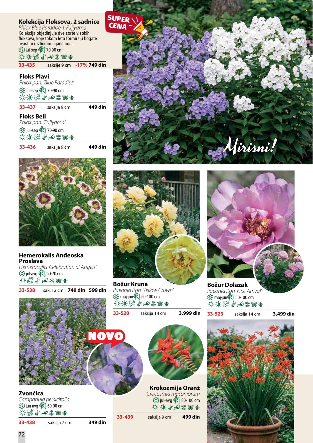 Flora Ekspres katalog . Stranica 72