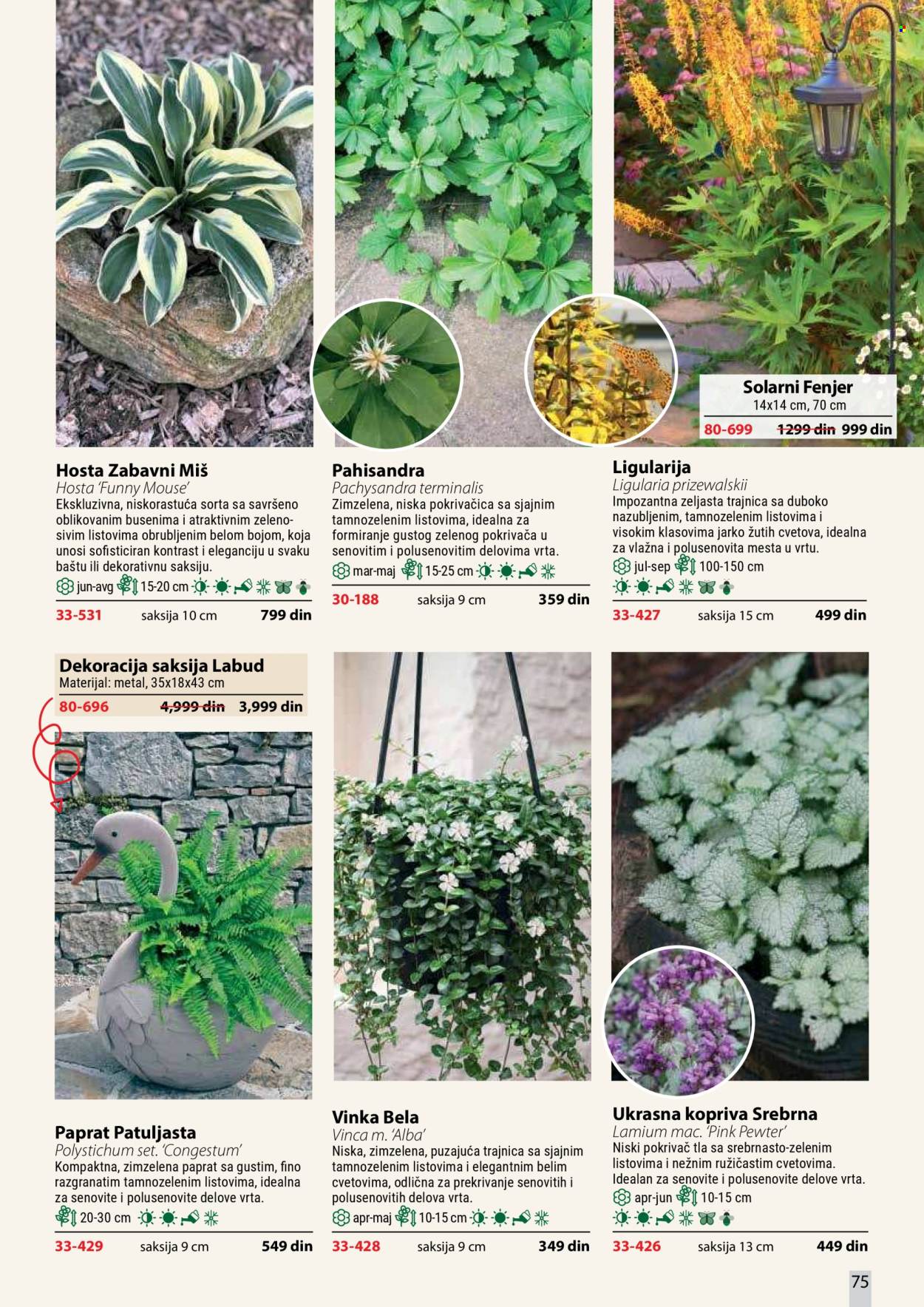 Flora Ekspres katalog . Stranica 75