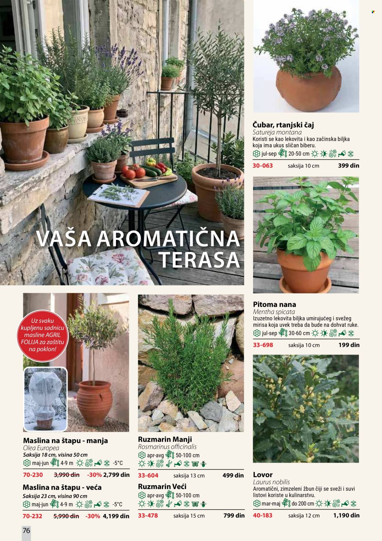 Flora Ekspres katalog . Stranica 76