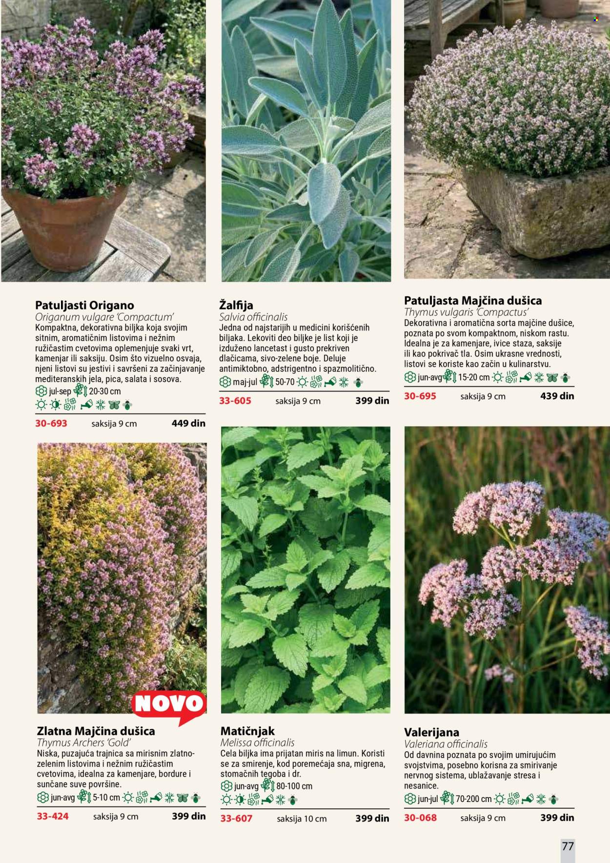 Flora Ekspres katalog . Stranica 77