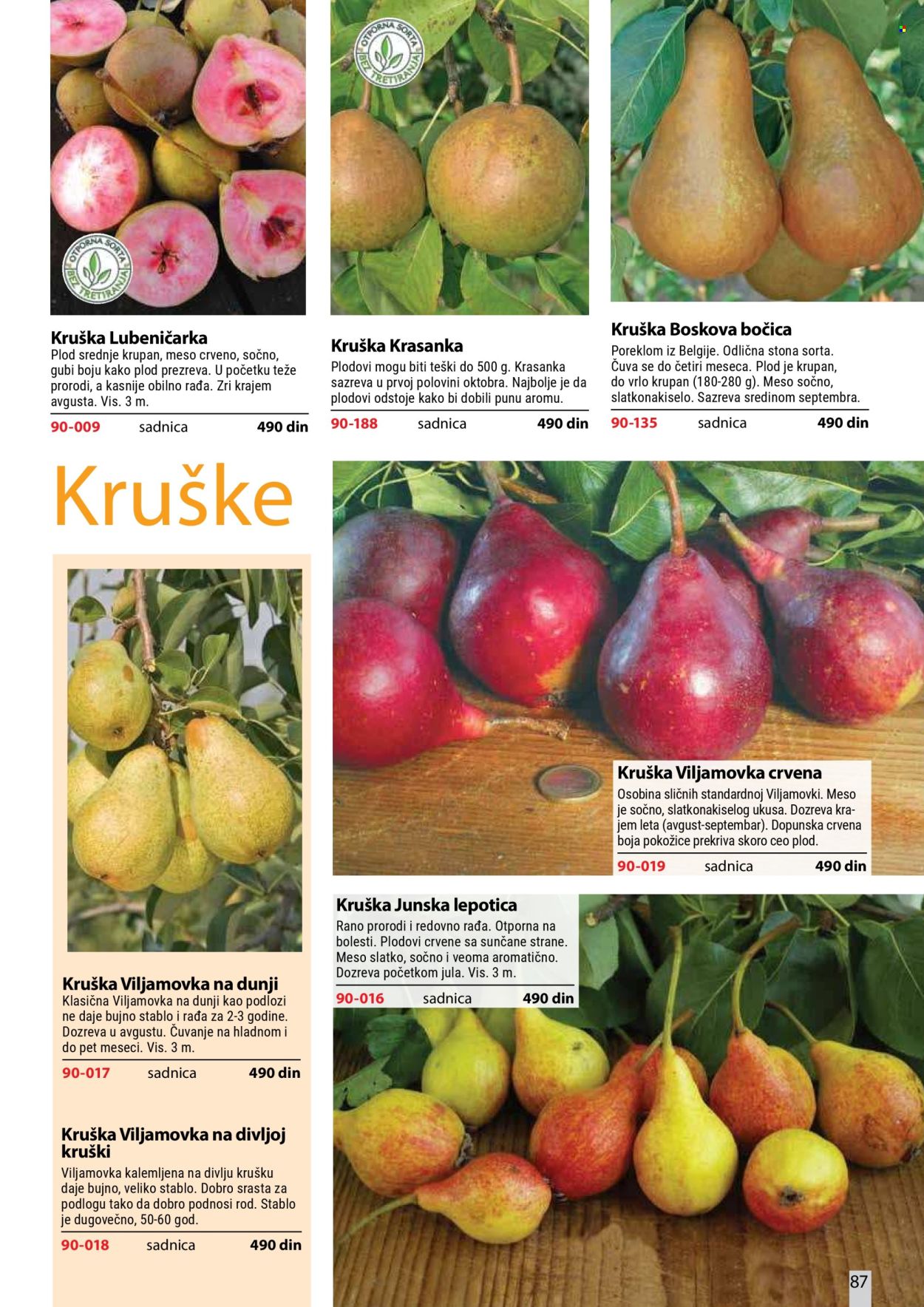 Flora Ekspres katalog . Stranica 87
