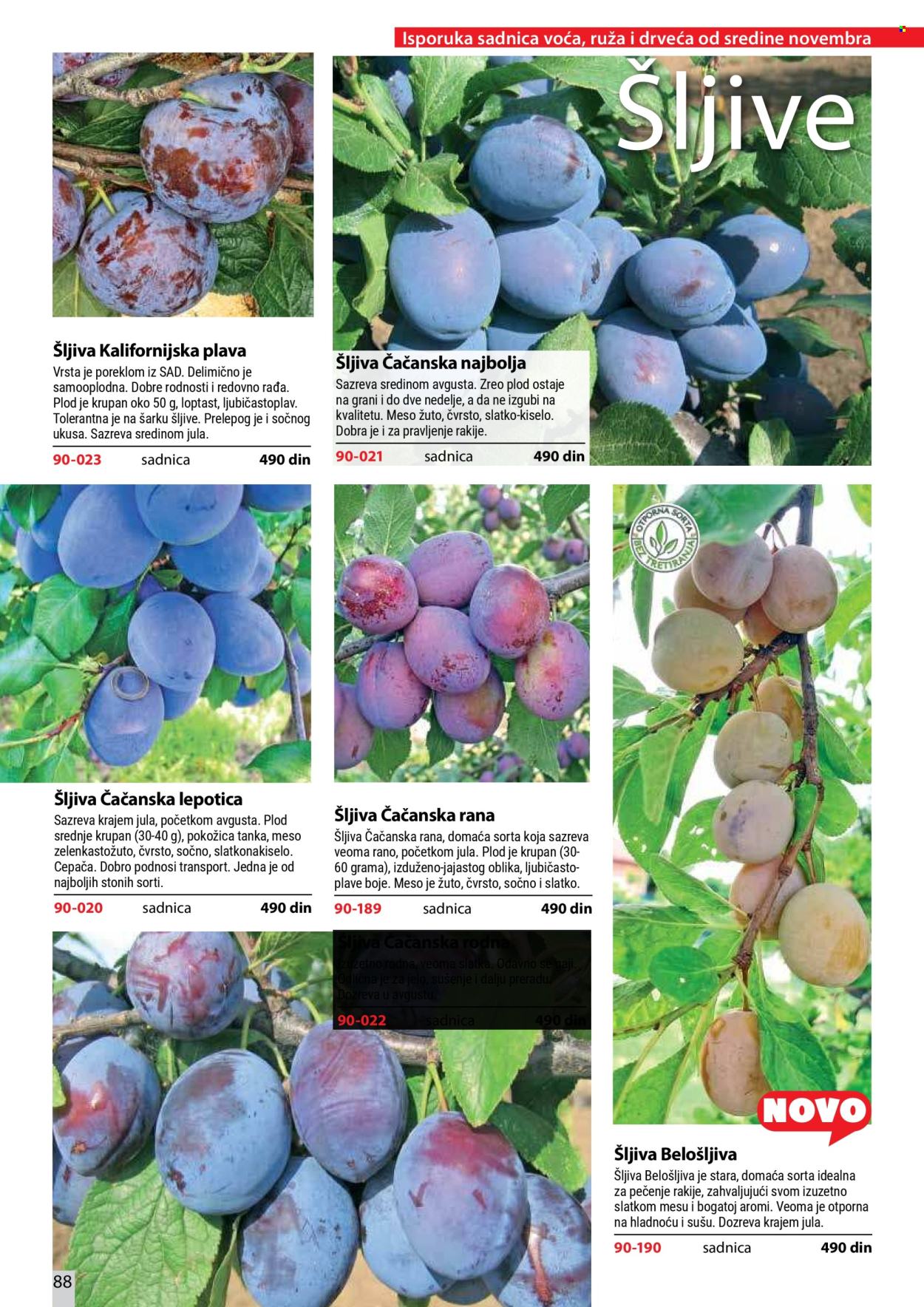 Flora Ekspres katalog . Stranica 88