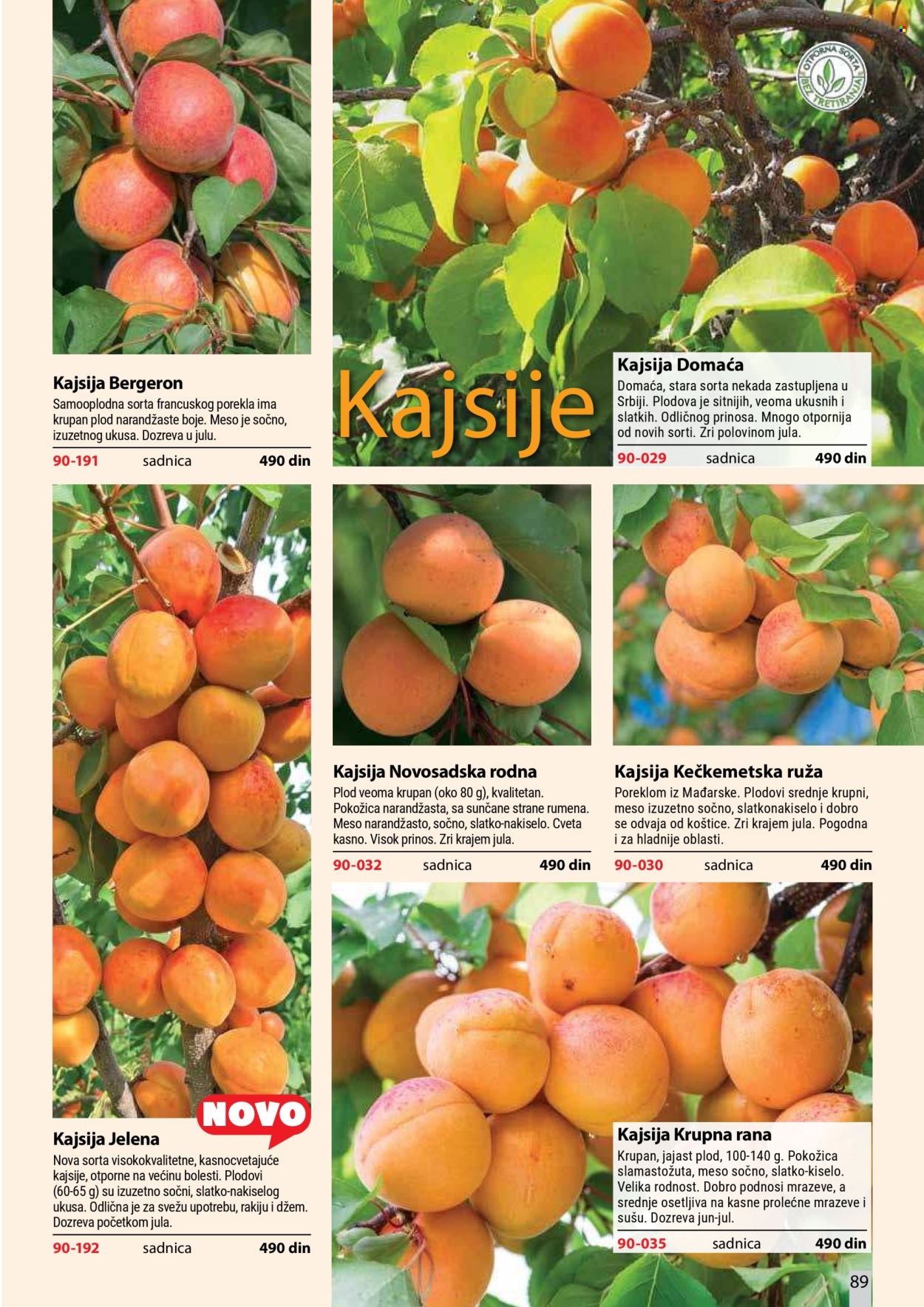 Flora Ekspres katalog . Stranica 89