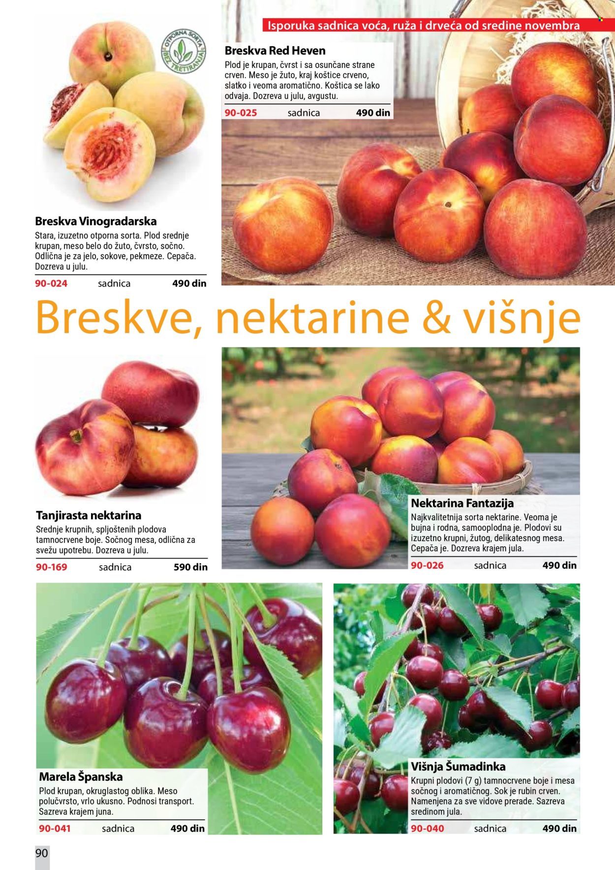 Flora Ekspres katalog . Stranica 90