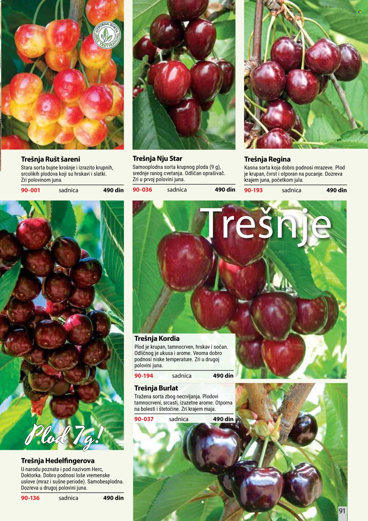 Flora Ekspres katalog . Stranica 91