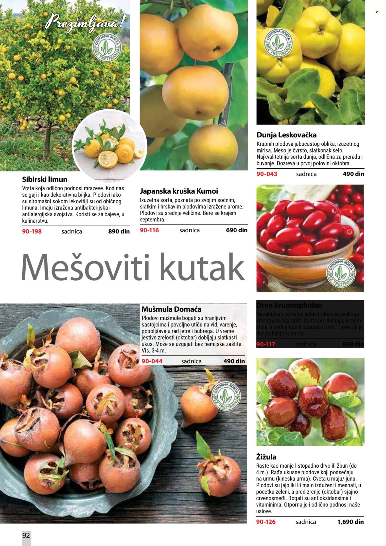 Flora Ekspres katalog . Stranica 92