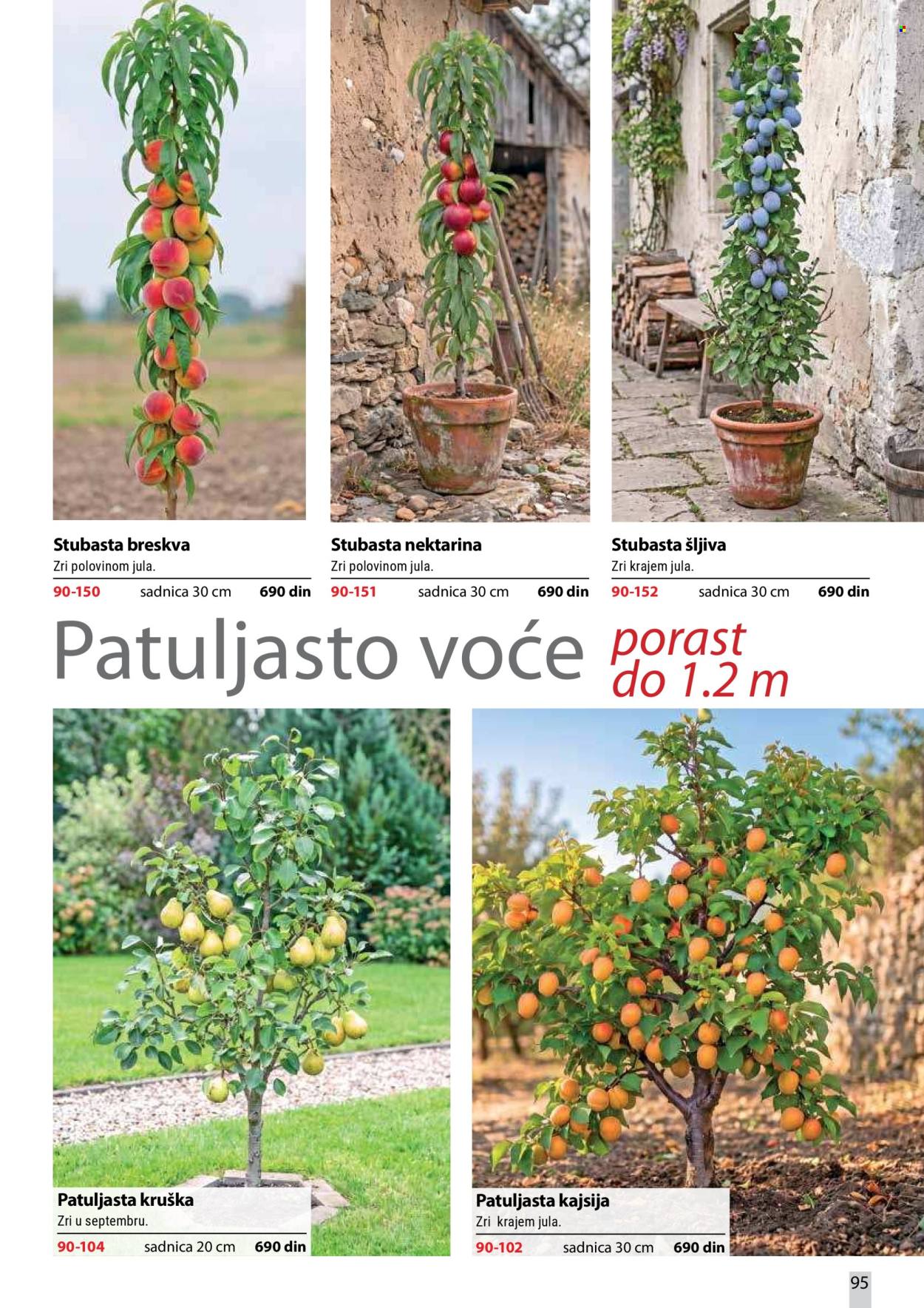 Flora Ekspres katalog . Stranica 95