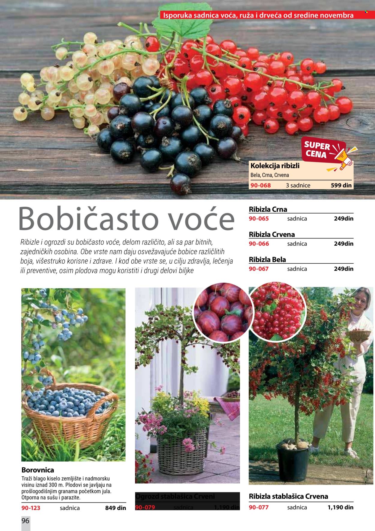 Flora Ekspres katalog . Stranica 96