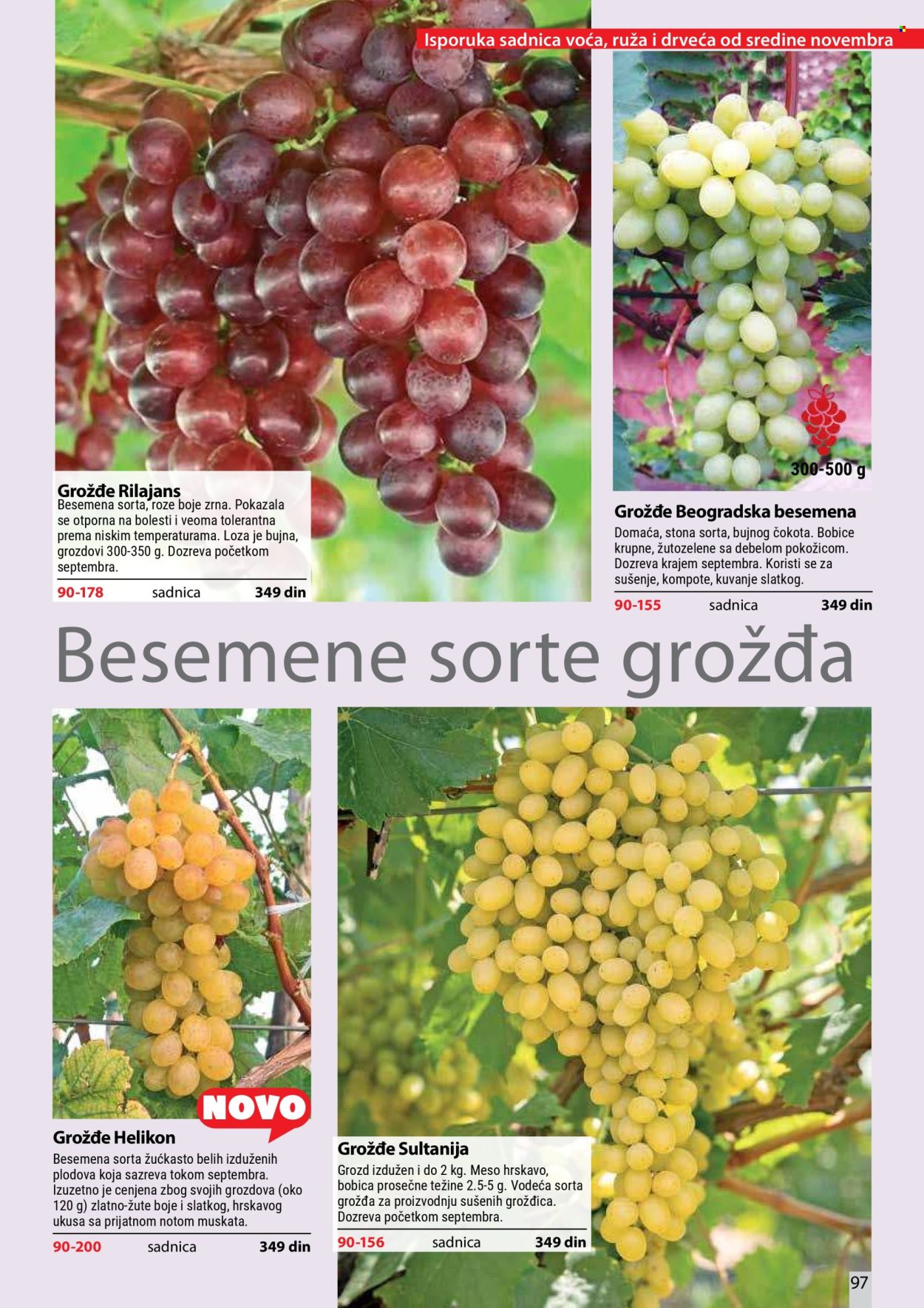 Flora Ekspres katalog . Stranica 97