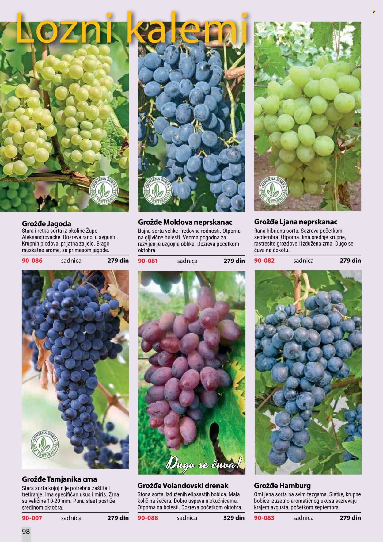 Flora Ekspres katalog . Stranica 98