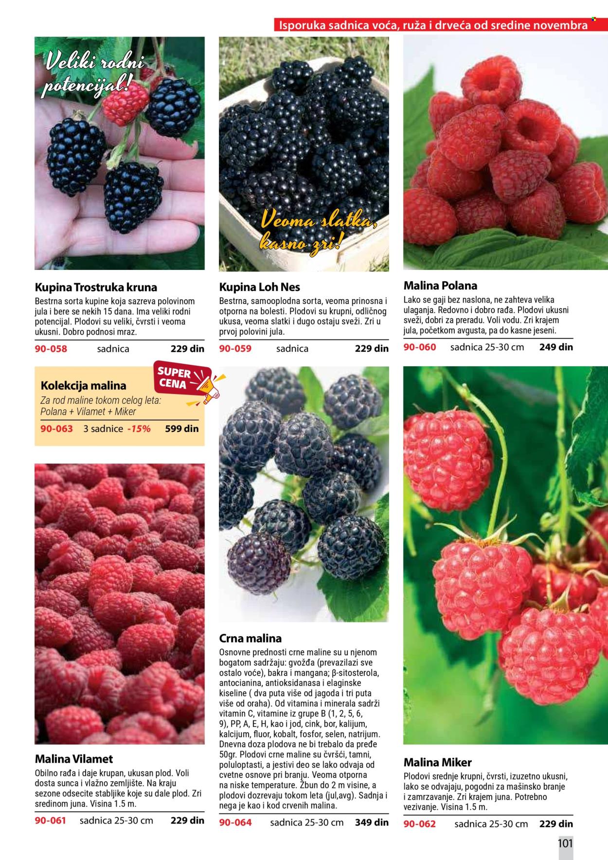 Flora Ekspres katalog . Stranica 101