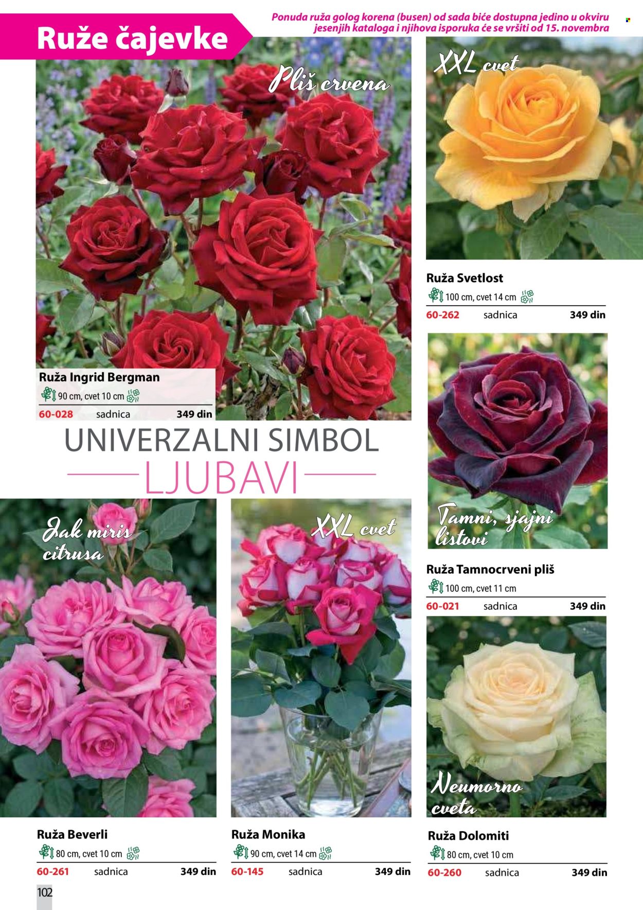 Flora Ekspres katalog . Stranica 102