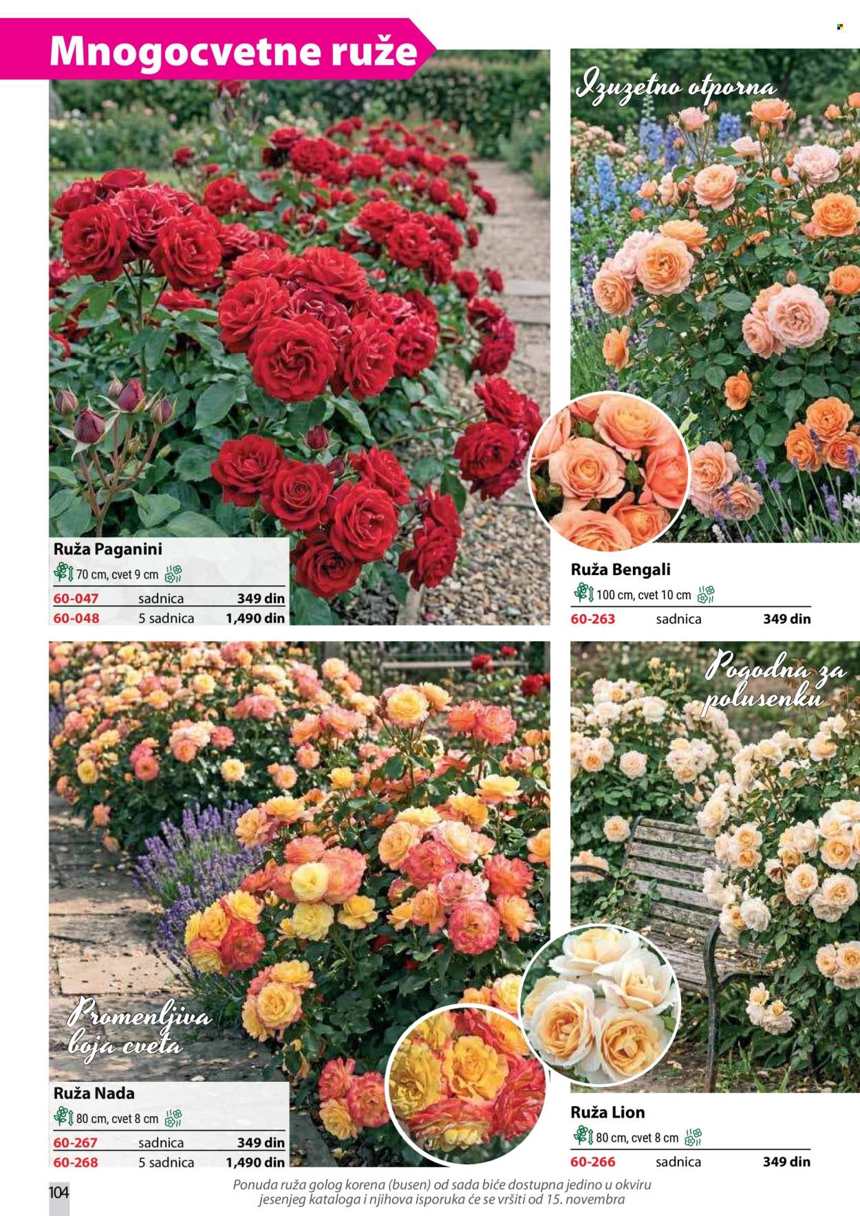 Flora Ekspres katalog . Stranica 104