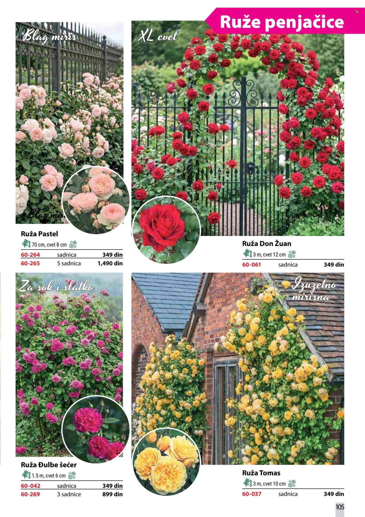 Flora Ekspres katalog . Stranica 105