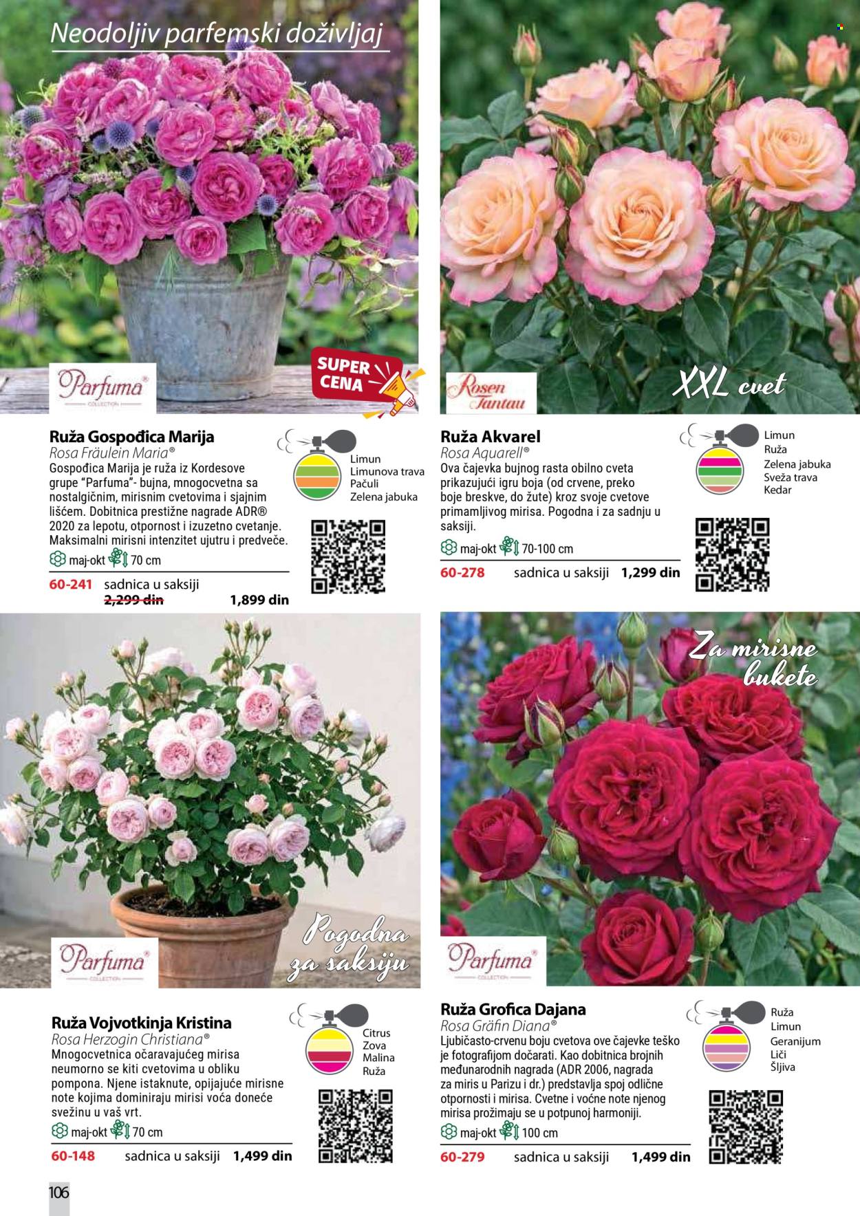 Flora Ekspres katalog . Stranica 106