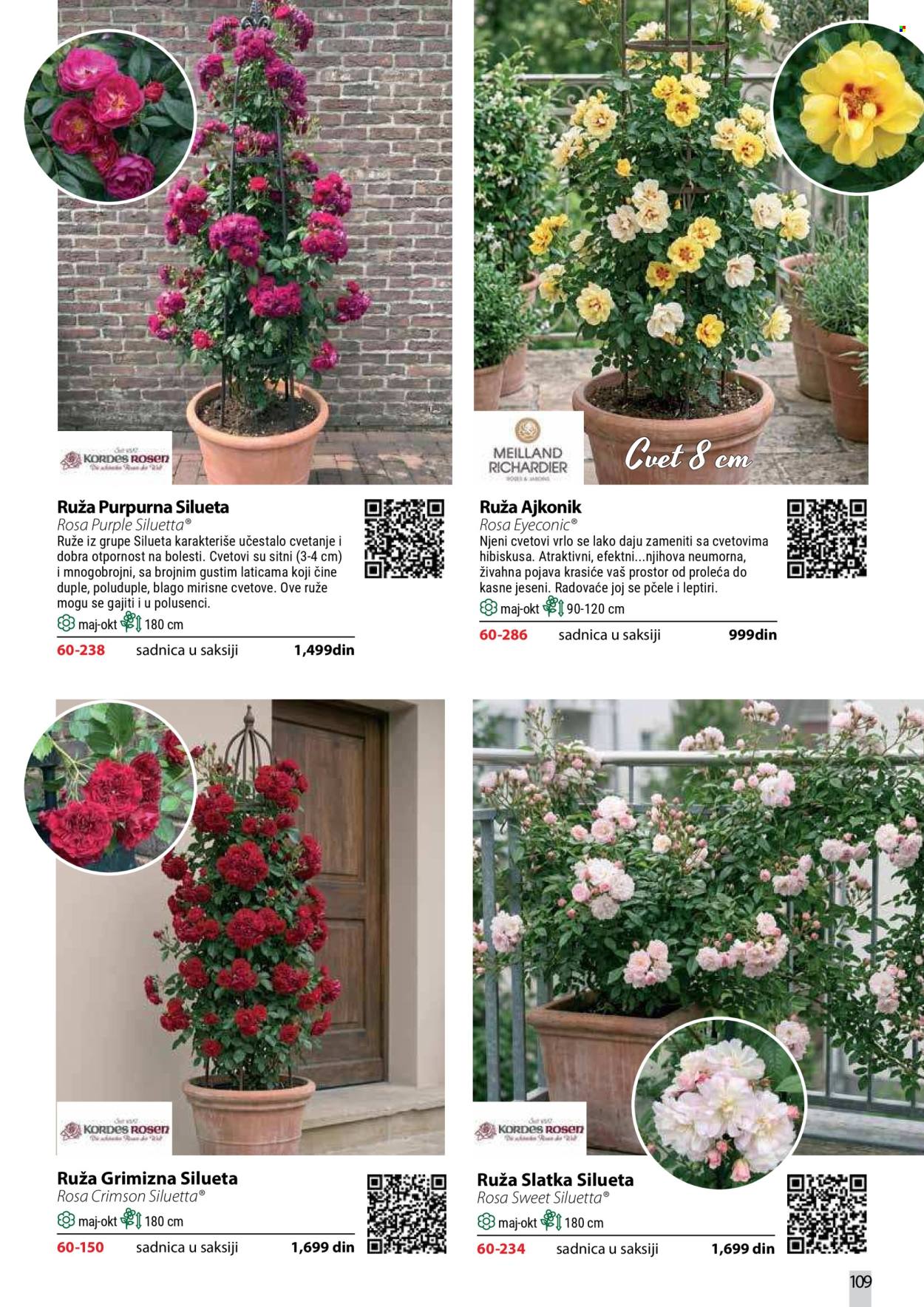 Flora Ekspres katalog . Stranica 109