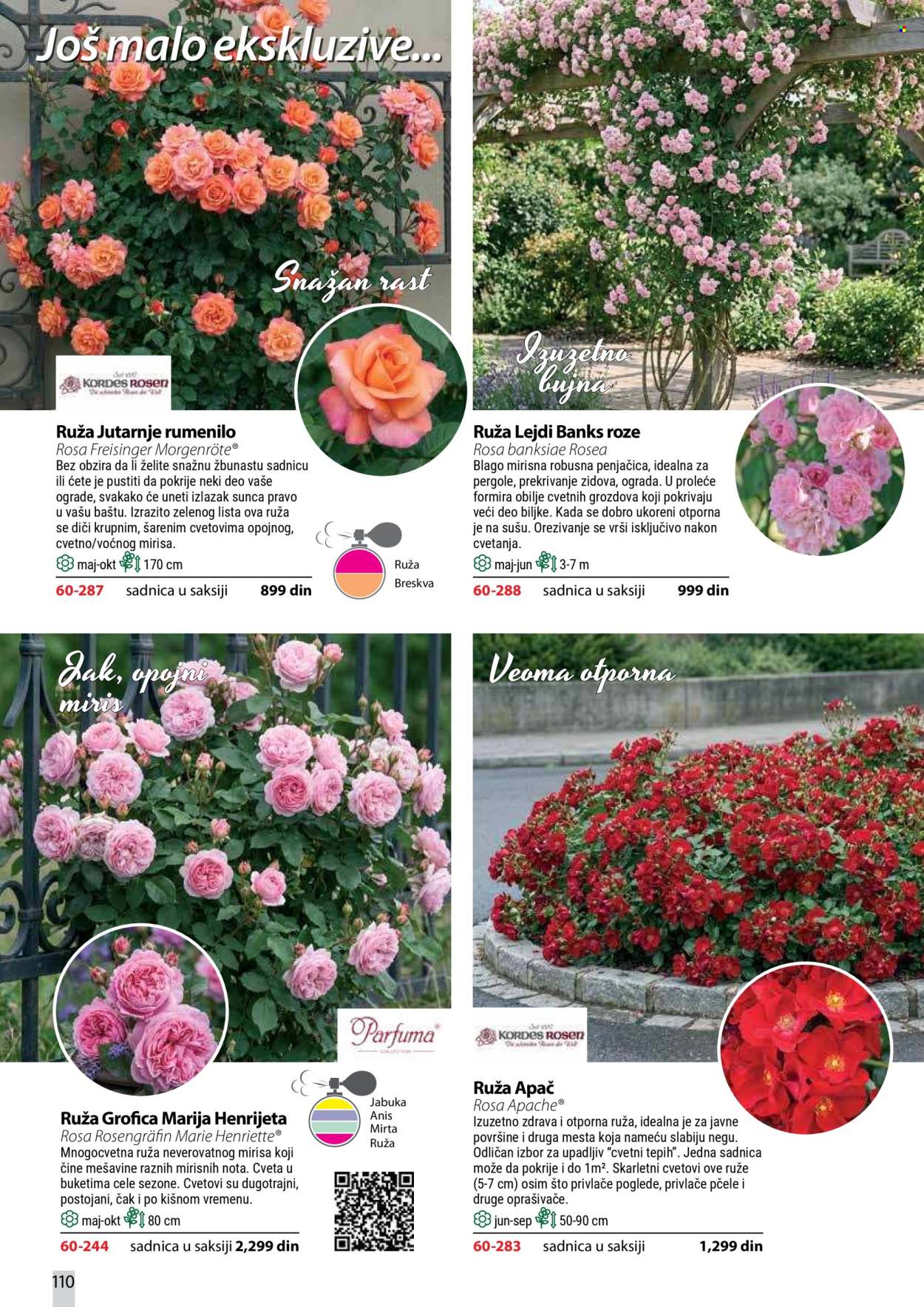 Flora Ekspres katalog . Stranica 110