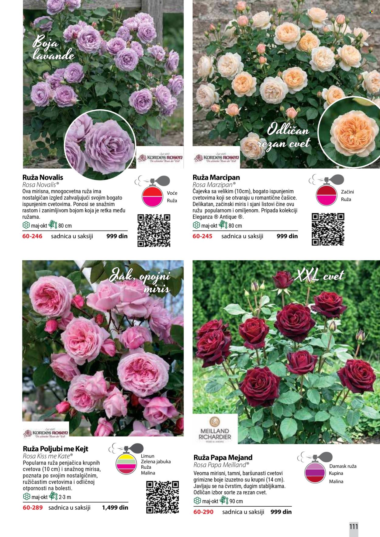 Flora Ekspres katalog . Stranica 111