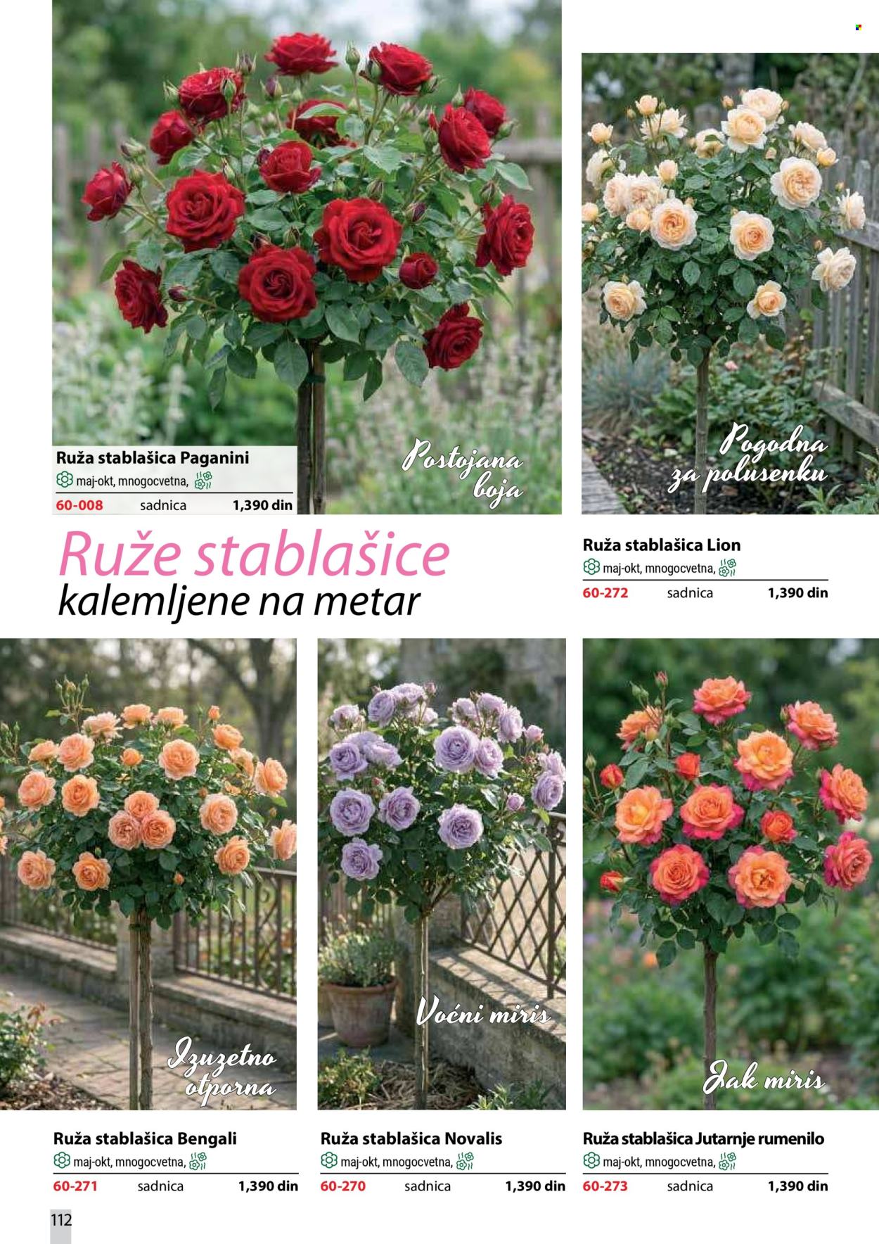Flora Ekspres katalog . Stranica 112