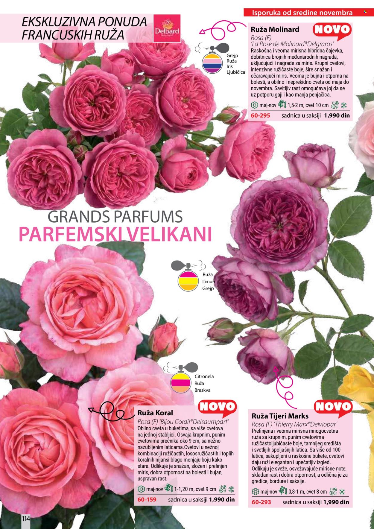 Flora Ekspres katalog . Stranica 114