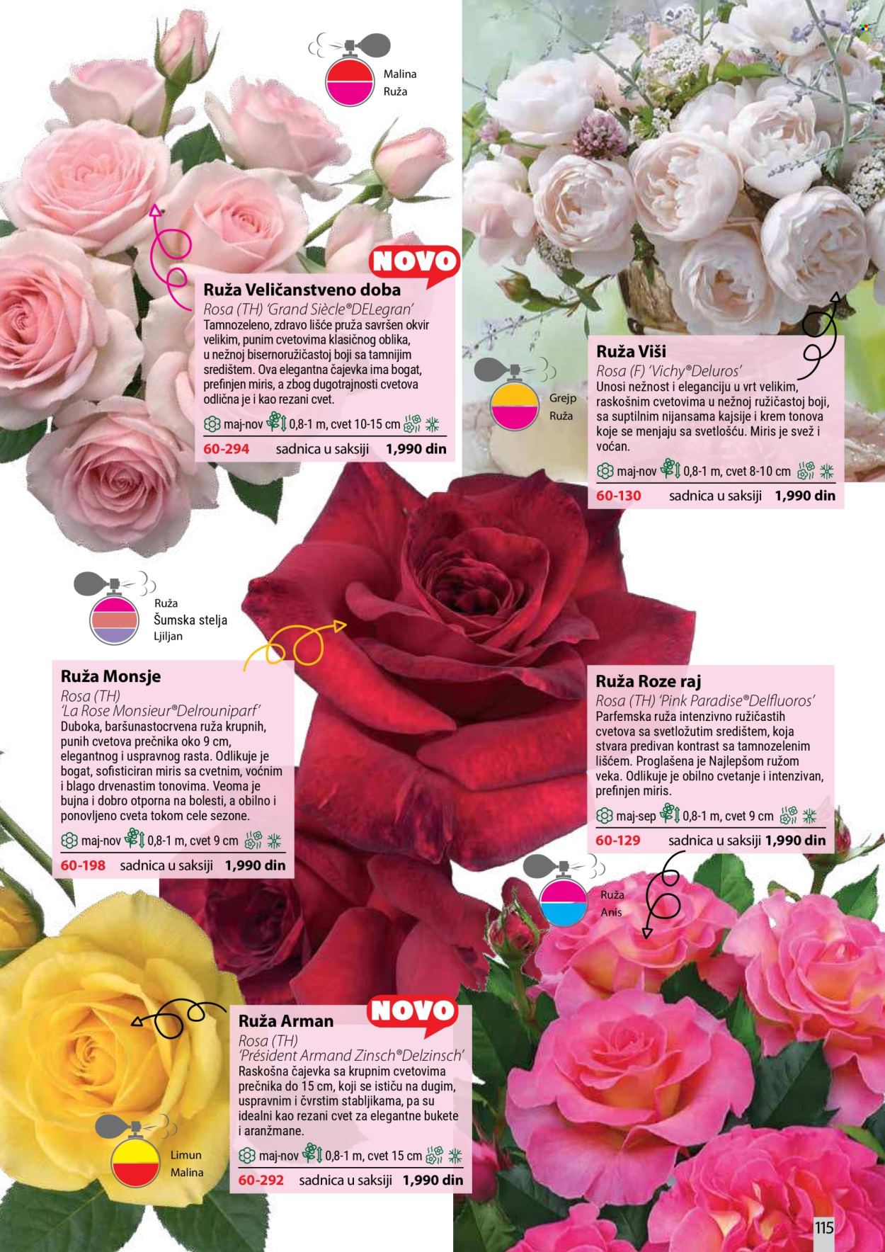 Flora Ekspres katalog . Stranica 115