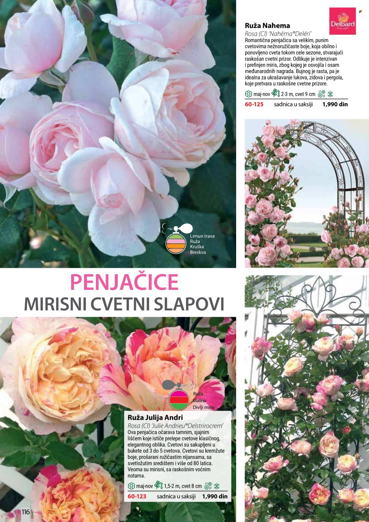 Flora Ekspres katalog . Stranica 116