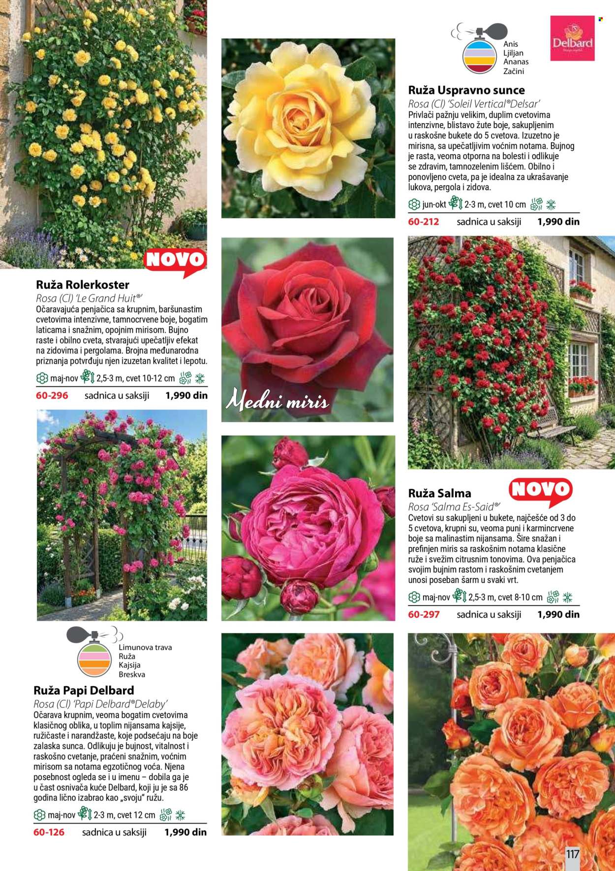Flora Ekspres katalog . Stranica 117