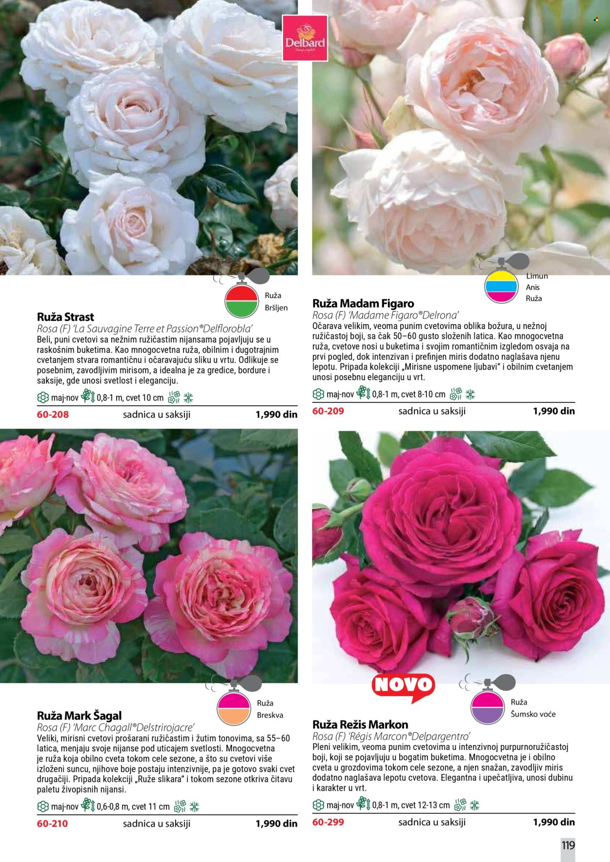 Flora Ekspres katalog . Stranica 119