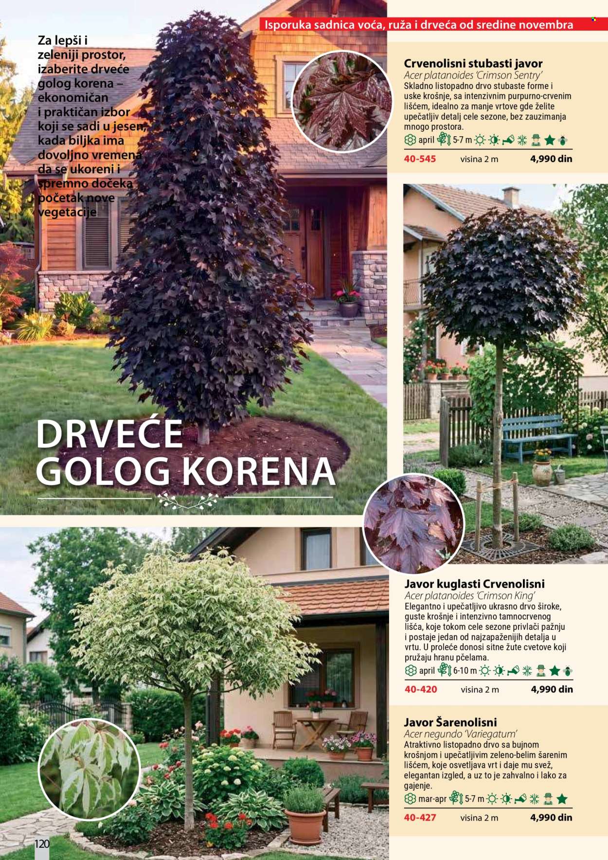 Flora Ekspres katalog . Stranica 120