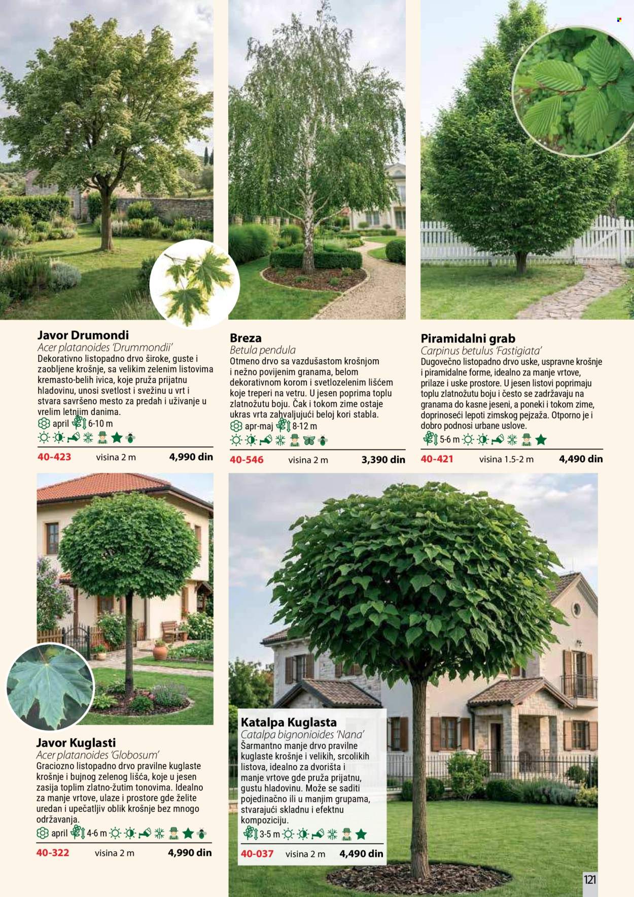 Flora Ekspres katalog . Stranica 121