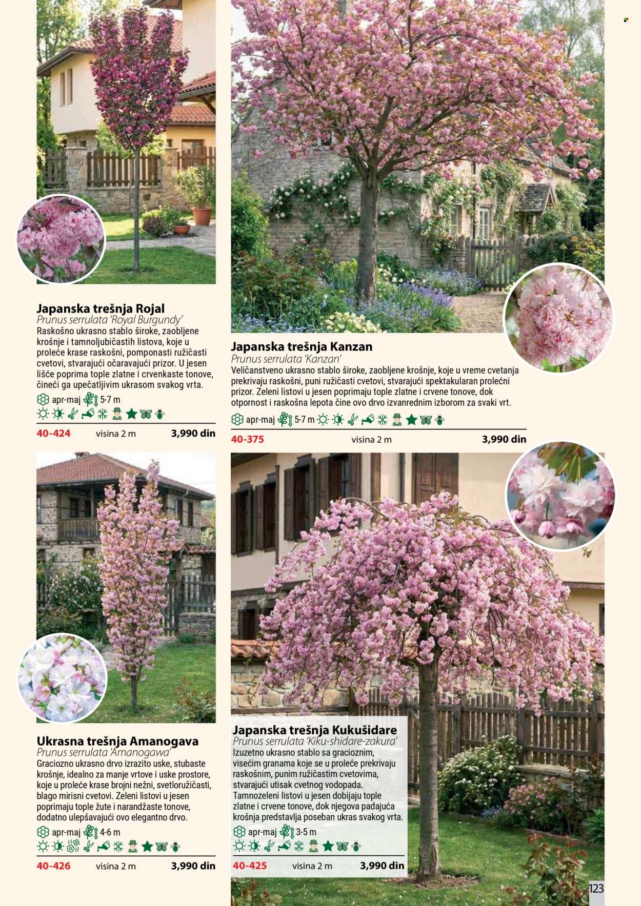 Flora Ekspres katalog . Stranica 123