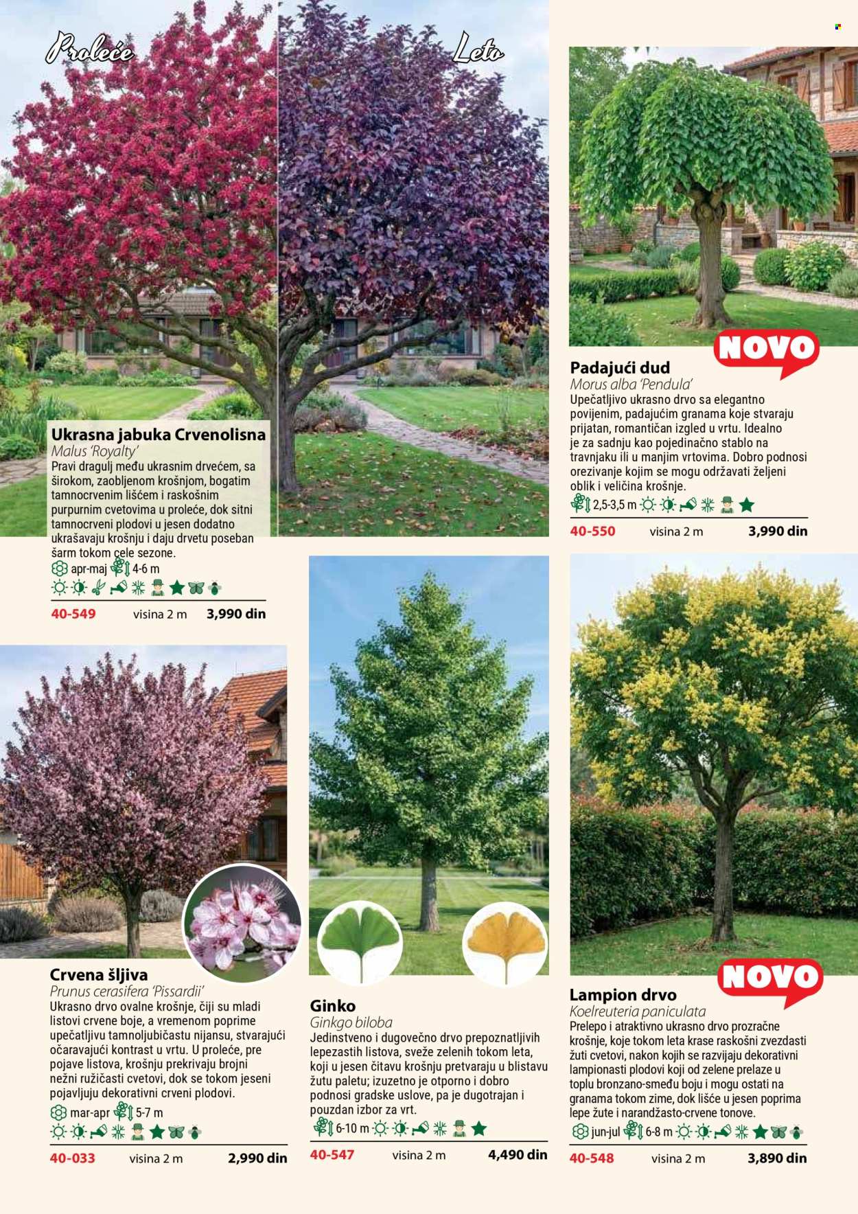 Flora Ekspres katalog . Stranica 124