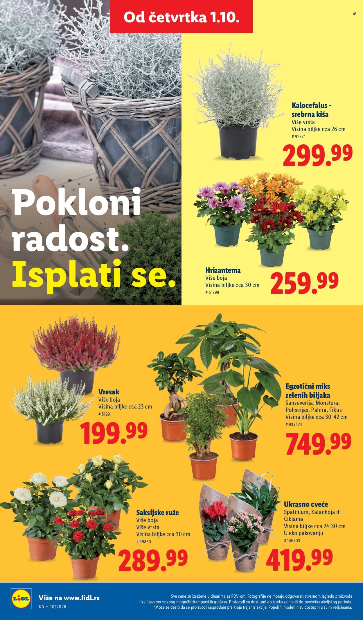 Lidl katalog  - 01.10.2026 - 07.10.2026. Stranica 68