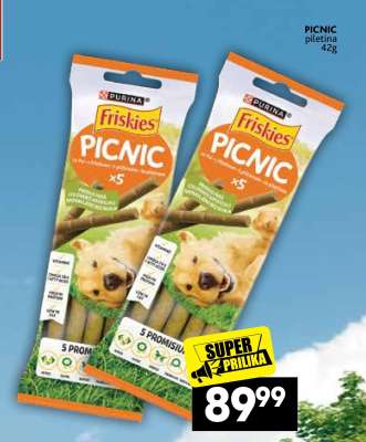 PICNIC