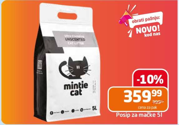 mintie cat