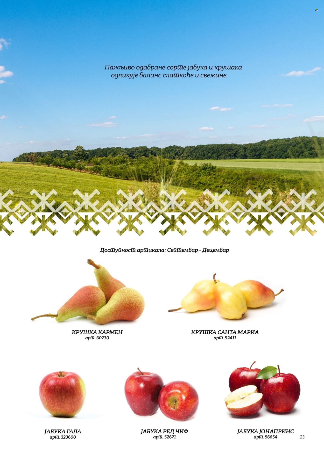 Metro katalog . Stranica 23