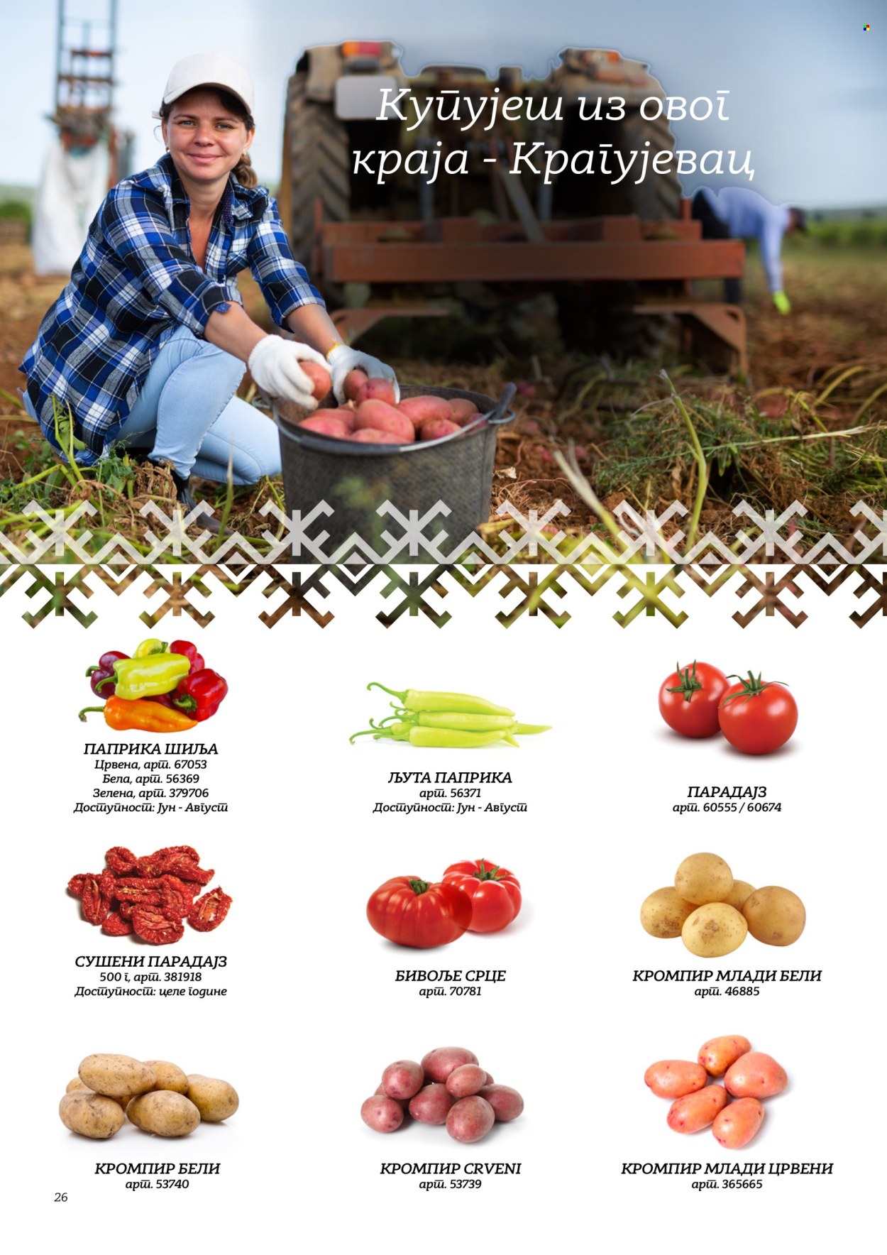 Metro katalog . Stranica 26