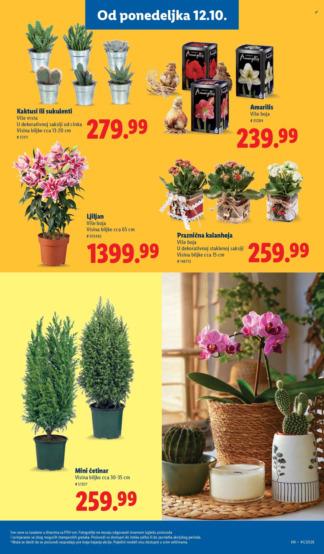 Lidl katalog  - 08.10.2026 - 14.10.2026. Stranica 73